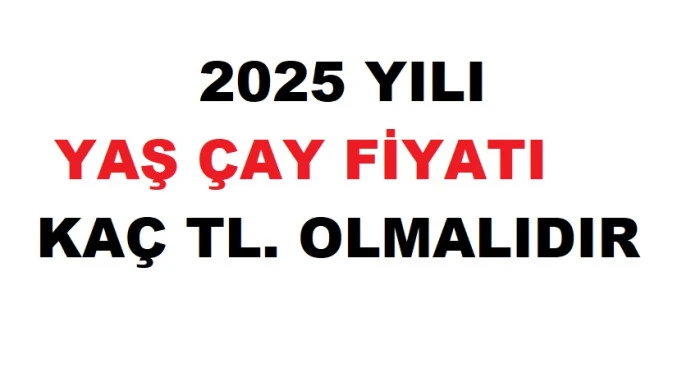 2025  YILINDA YAŞ ÇAY  FİYATI KAÇ TL OLUR?