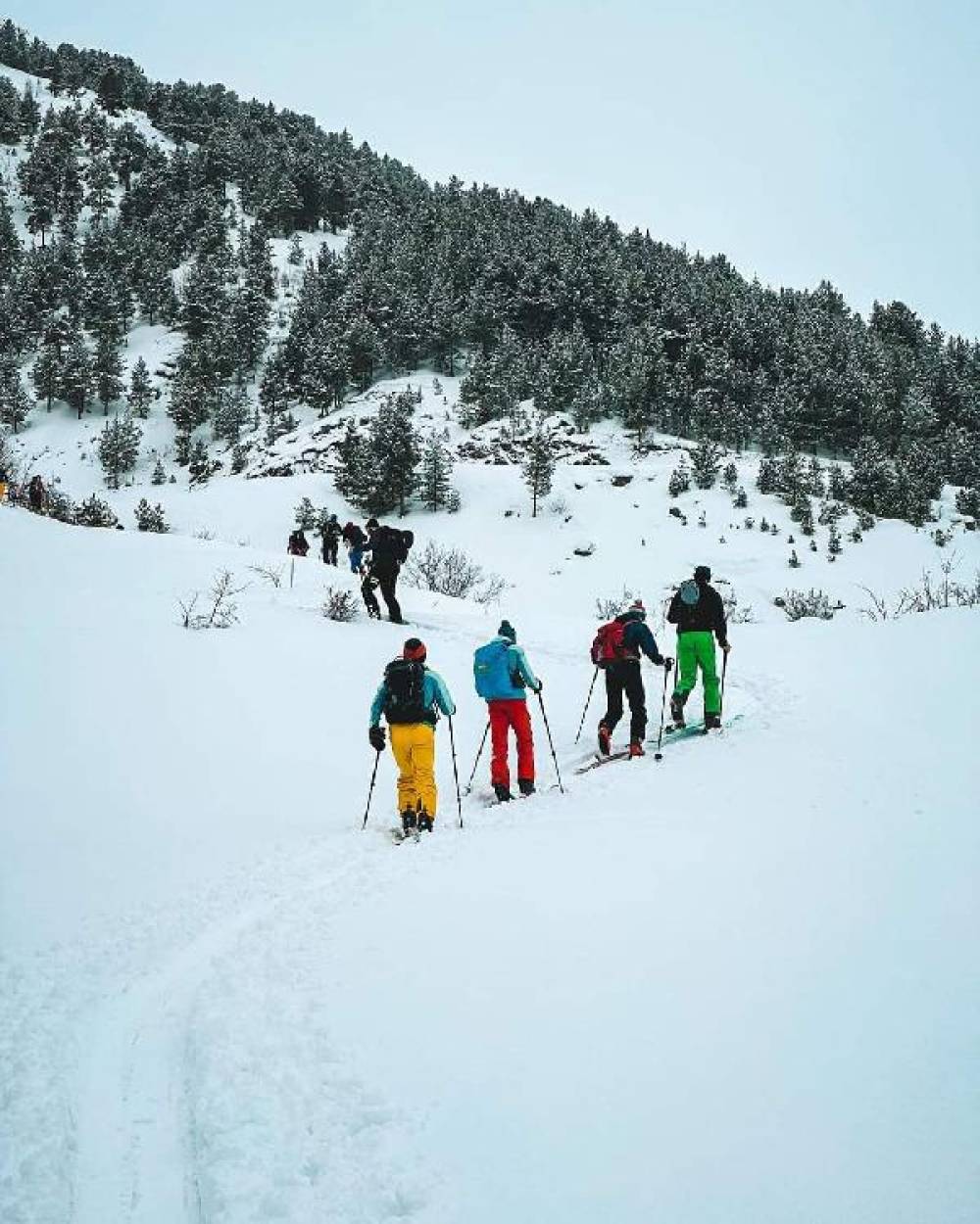 Kaçkar Dağları'nda kayakçıların üzerine çığ düştü; 2 ölü, 7 yaralı