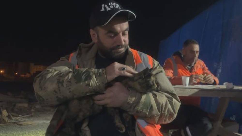 Afşin'de enkazdan kurtarılan kedi, Çorum'da yeni yuvasında 