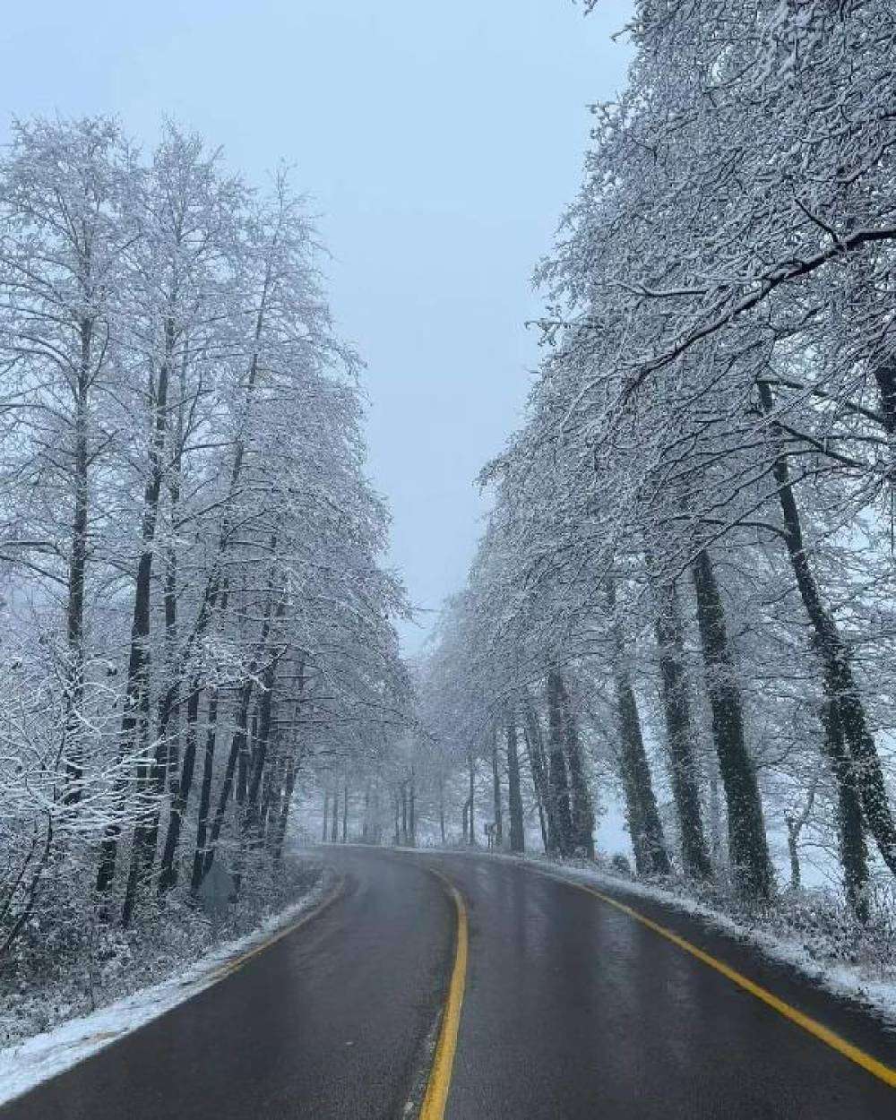 Ordu'da kar yağışı etkili oldu