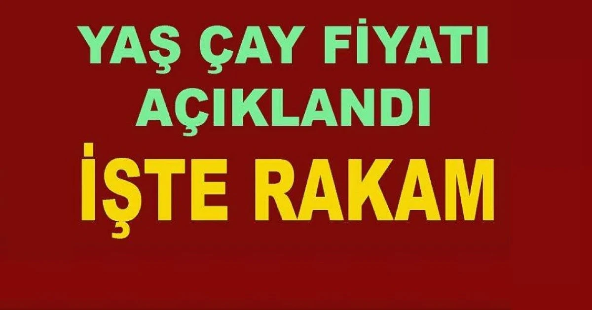 2026 YILI YAŞ ÇAY FİYATI AÇIKLANDI. ÜRETİCİ MALİYETİNE ÇAY  SATACAK