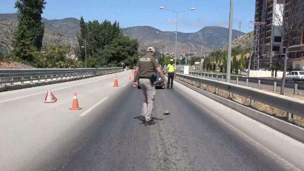Komiser, ara&ccedil;ları durdurup, kara yoluna &ccedil;ıkan kaplumbağayı kurtardı