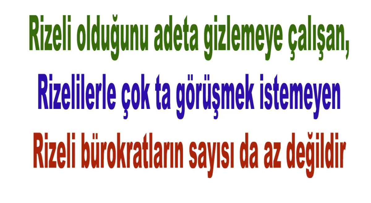 AĞAÇ KOVUĞUNDAKİ KUŞ YUVASI  “RİZE GRUBU”