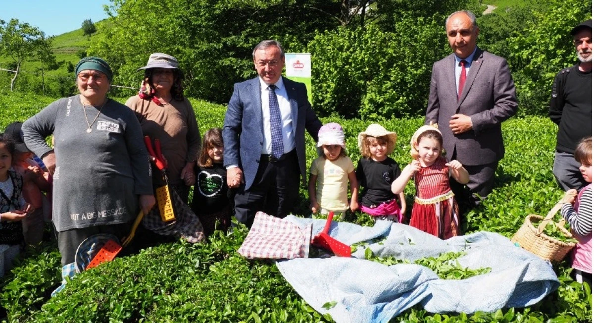 BU GÜN DÜNYA ÇAY GÜNÜ