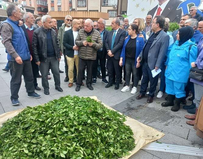 ÇAY ÜRETİCİLERİMİZİN YANINDA OLACAĞIZ VİDEO