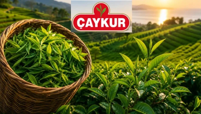&Ccedil;AYKUR &Uuml;RETİCİLERİ UYARDI. AKKSİ HALDE C&Uuml;ZDANLAR ASKIYA ALINACAK