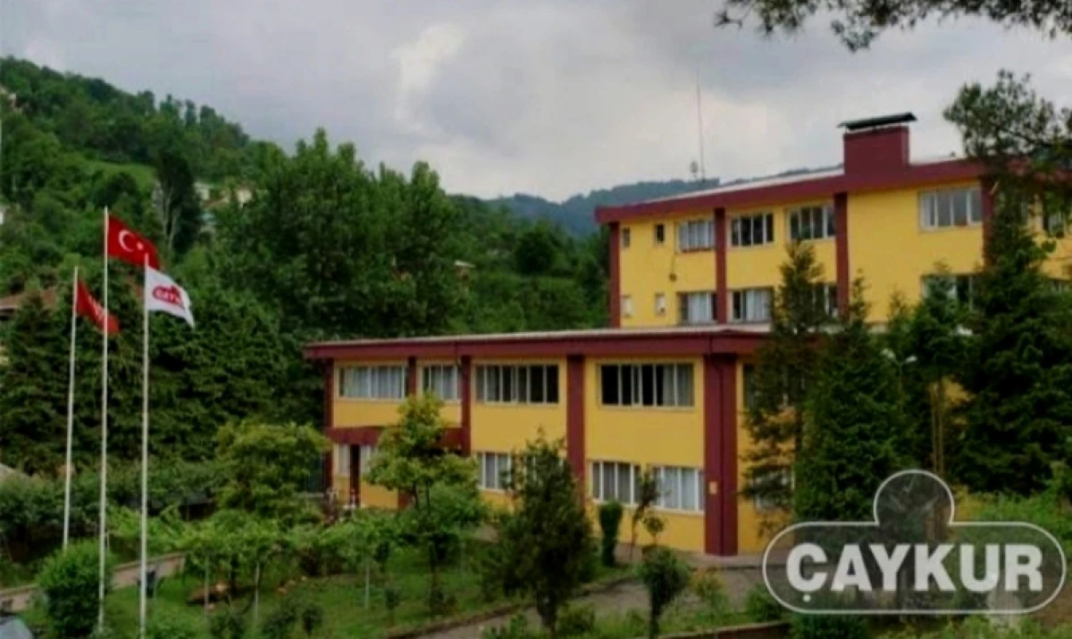 ÇAYKUR'DAN YAŞ ÇAY ALIMLARIYLA İLGİLİ AÇIKLAMA