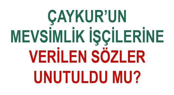 ÇAYKUR’UN MEVSİMLİK İŞÇİLERİNE VERİLEN SÖZLER UNUTULDU MU?