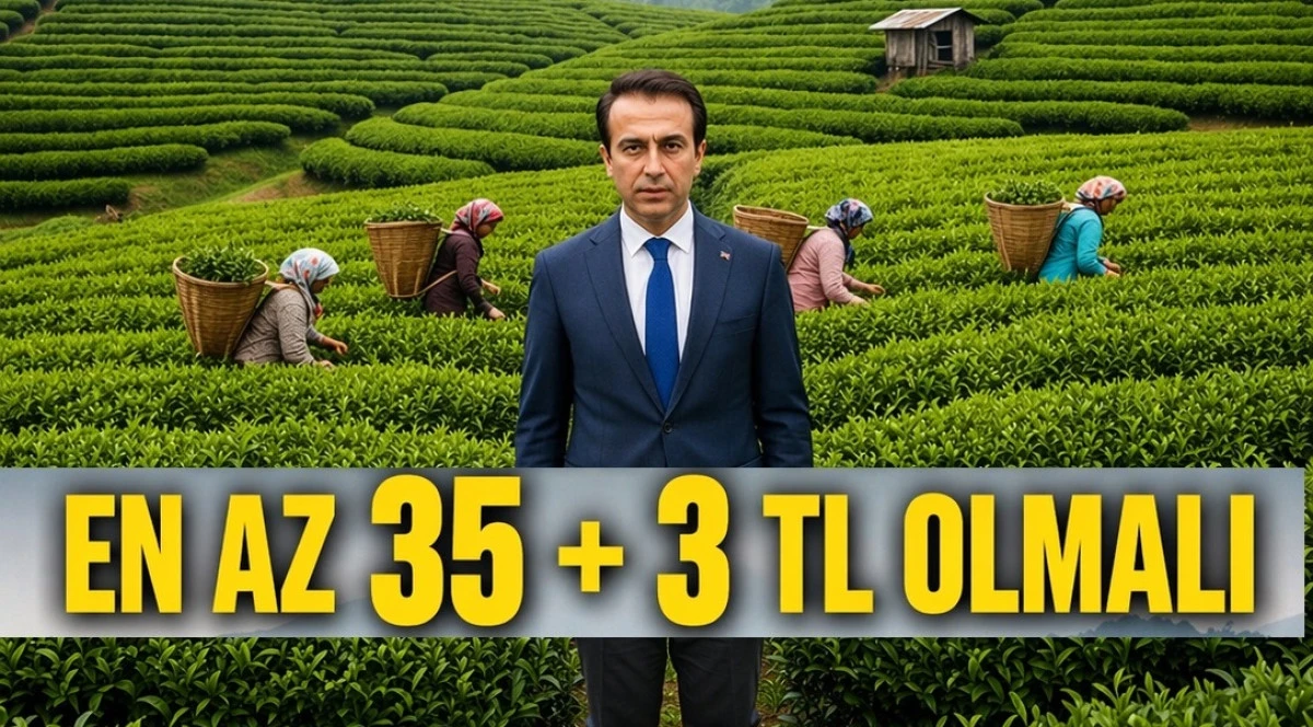 CUMHURBAŞKANINDAN RİZELİLERE DESTEK İSTEDİ