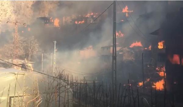 Artvin’de köyde yangın; 50’ye yakın ev alevlere teslim oldu (2)