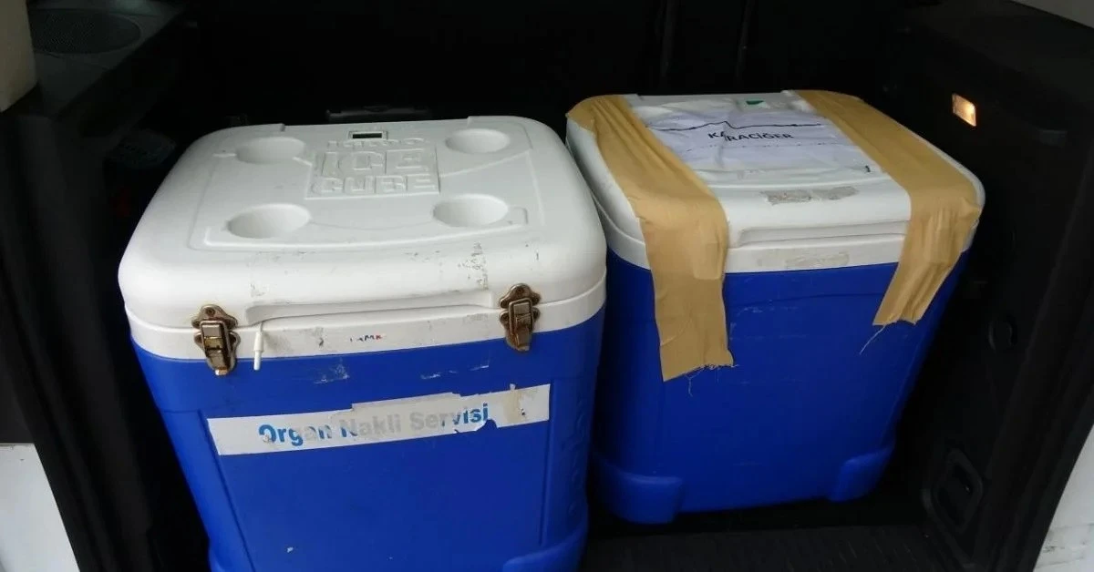 Genç kadının bağışı üç hastaya yaşam olacak