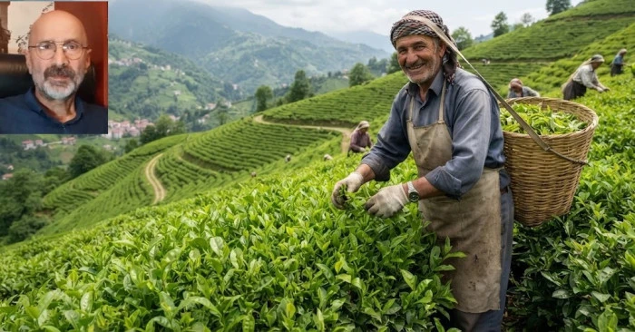 HASATTA SABBIR, KAZAN&Ccedil;TA BEREKET .