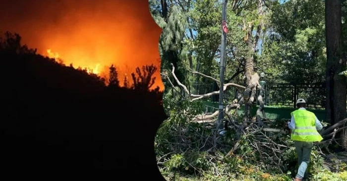 İZMİR'DE YANGINLA MÜCADELE DEVAM EDİYOR