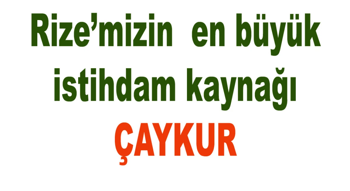 KAMUDA MEVSİMLİK/GEÇİCİ İŞÇİ OLARAK ÇALIŞAN ÖN LİSANS VE LİSANS MEZUNLARI