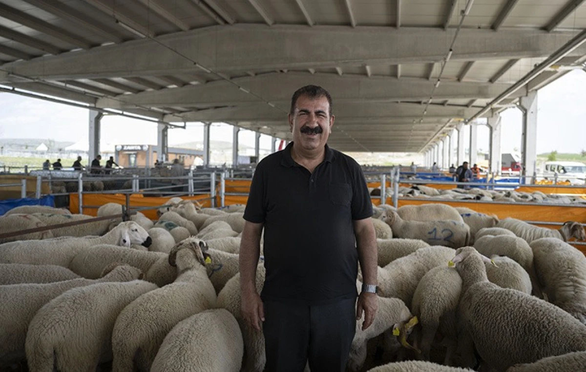 KURBAN BAYRAMI ÖNCESİ ÖNEMLİ UYARILAR