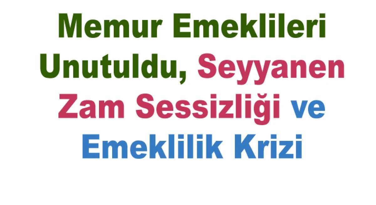 MEMUR EMEKLİSİ SÖZ VERİLEN SEYYANEN ZAMMI İSTİYOR