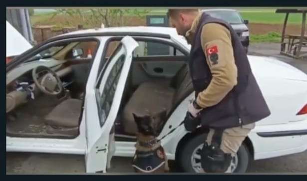 Pars Uyuşturucu Tacirlerine Geçit Vermiyor