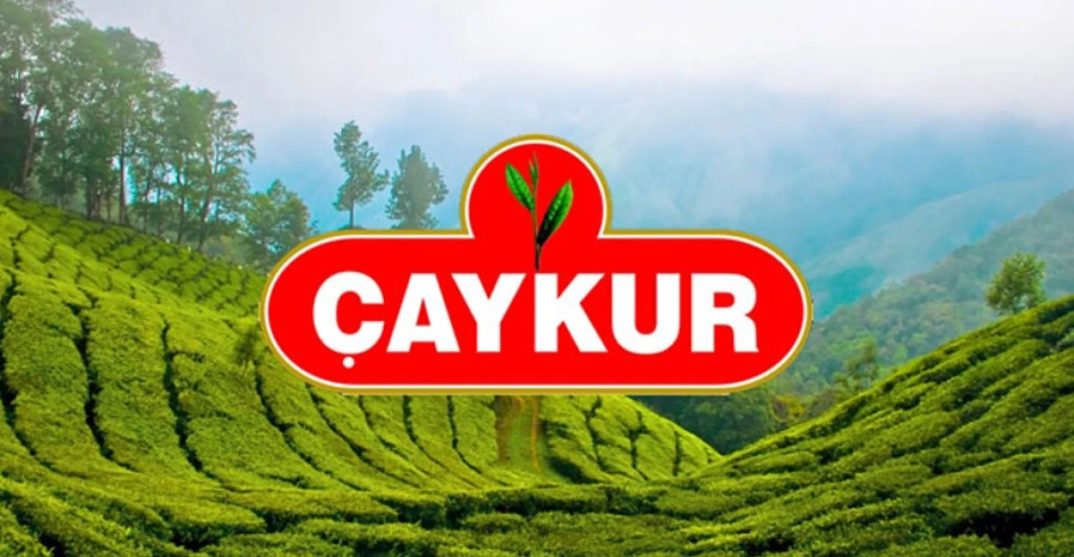 RİZE İL BAŞKANI A&Ccedil;IKLADI. VARLIK FONUNDAN &Ccedil;IKARILIYOR