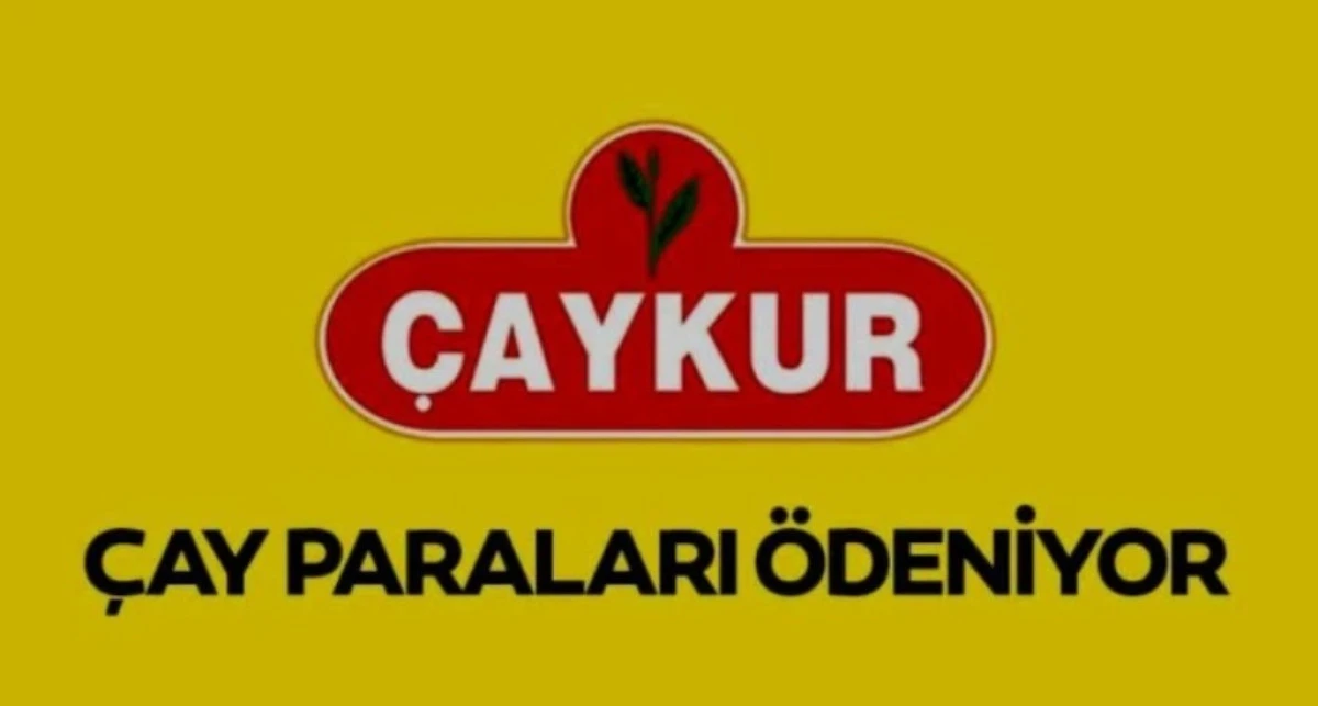 RİZE VE B&Ouml;LGE EKONOMİSİNE CAN SUYU