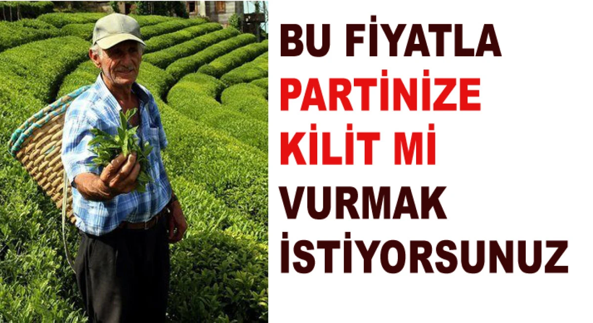 RİZE VE BÖLGEYİ GÖZDEN Mİ ÇIKARDINIZ?