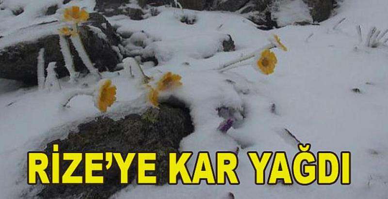 RİZE'DE   AĞAÇLAR  ÇİÇEK AÇARKEN KAR YAĞDI