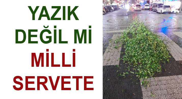 RİZE'DE BÜYÜK DUYARSIZLIK