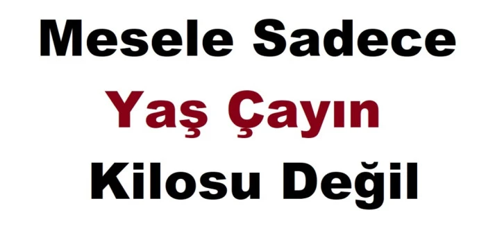 RİZE'DE ' DERİN SESSİZLİK  YAŞ ÇAY FİYATI NE OLACAK?