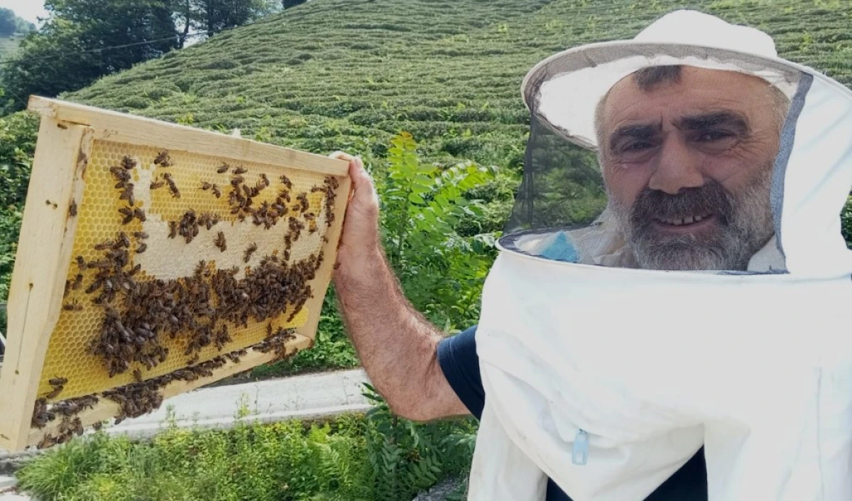 RİZE'DE İNANMASI ZOR  BİR OLAY  ARILAR T&Uuml;RKİYE HARITASI &Ccedil;İZDİLER