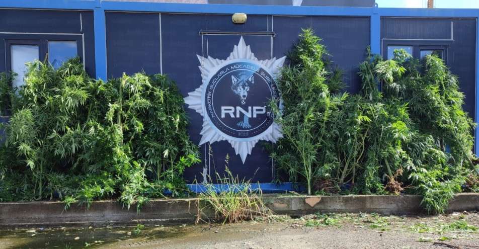 Rize’de Narkotik Suçlara Karşı Operasyon: 24 Şüpheli Gözaltına Alındı