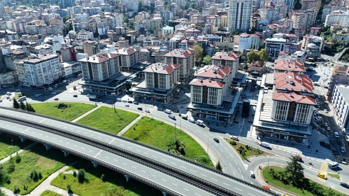 Rize'de ŞEPİDİ gibi ortalıkta gezmekteler.