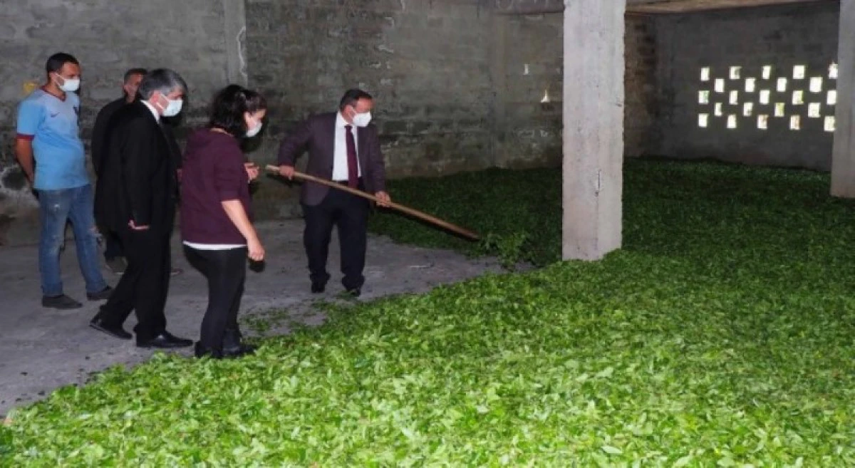 RİZE'DEKİ BU SORUNA BİR EL ATIN LÜTFEN