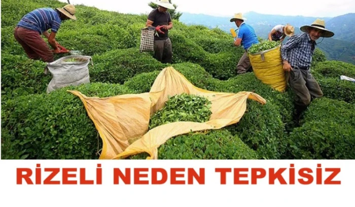 RİZELİNİN  TEPKİSİZ KALMASININ SİYASAL VE SOSYOLOJİK SEBEPLERİ