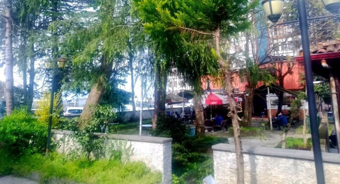 Rize’nin “klimalı bahçesi” yıkılıyor