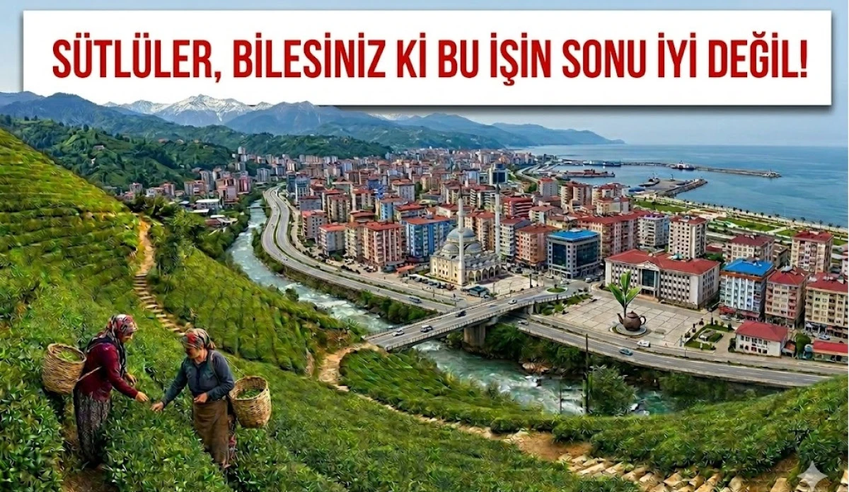 Şu S&uuml;tl&uuml;lerin b&uuml;y&uuml;ğ&uuml; de k&uuml;&ccedil;&uuml;ğ&uuml; de &ccedil;ok akılsızmış ger&ccedil;ekten!