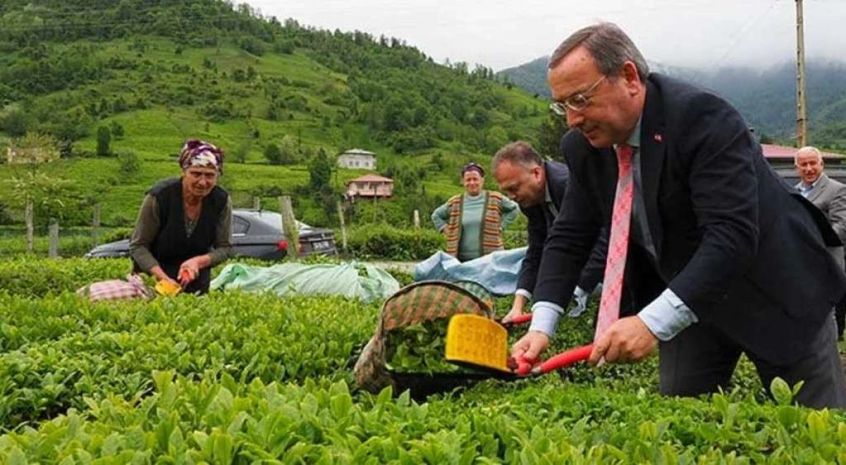 &Uuml;RETİCİMİZ RAHAT OLSUN. 3.S&Uuml;RG&Uuml;N BAŞLADI