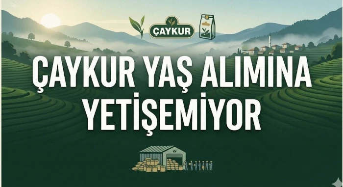 Yaş Çay Alımına Bir Günlük Ara