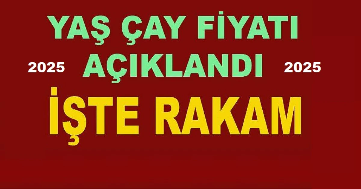 YAŞ ÇAY FİYATI AÇIKLANDI.  İŞTE RAKAM