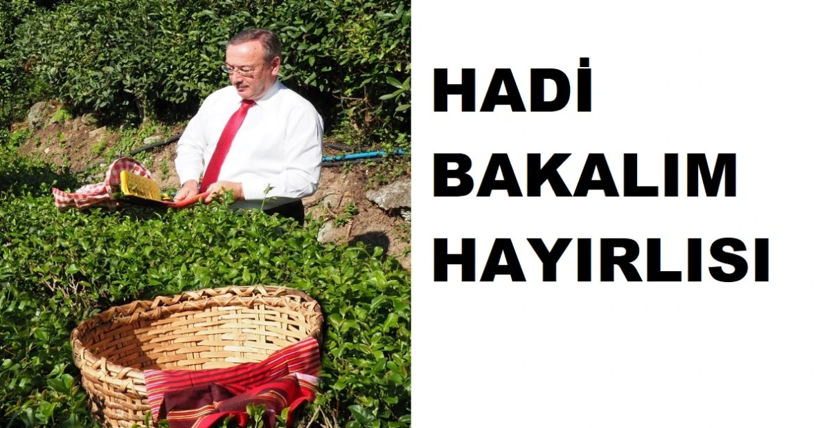 YAŞ ÇAY SEZONU AÇILDI