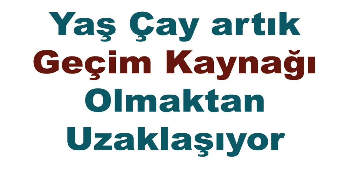 YAŞ ÇAY ÜRETİCİSİ ORANSAL DEĞİL  YAŞANACAK ÜCRET İSTİYOR