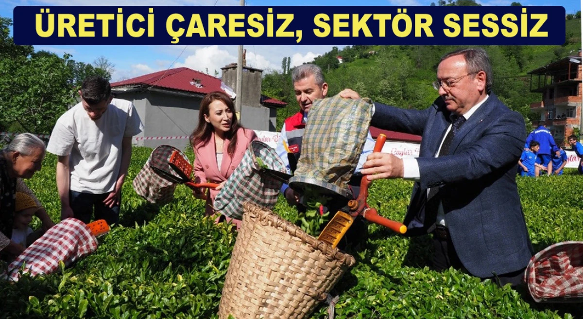 Yaş &Ccedil;ay &Uuml;reticisi &Ouml;zel Sekt&ouml;r&uuml;n İnsafına mı Terk Edildi?