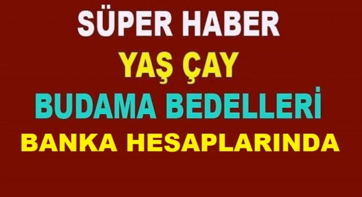 YAŞ &Ccedil;AY &Uuml;RETİCİSİNE İYİ HABER