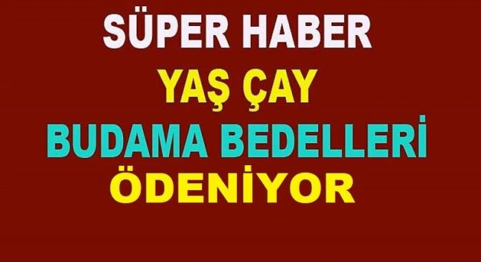 YAŞ ÇAY VE BUDAMA BEDELLERİ ÖDENİYOR